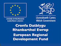 ERDF Logo